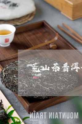 荒山茶普洱茶生茶价格/2023080376360