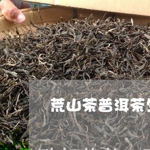 荒山茶普洱茶生茶价格/2023100891704