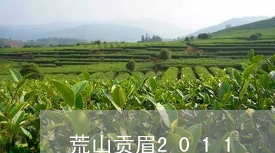 荒山贡眉2011/2023090718171