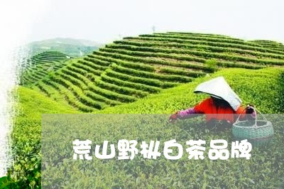 荒山野枞白茶品牌/2023071103250