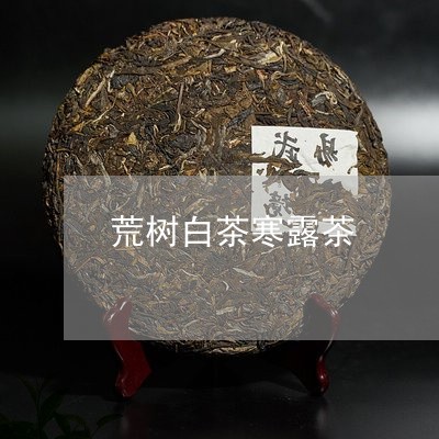 荒树白茶寒露茶/2023061000948