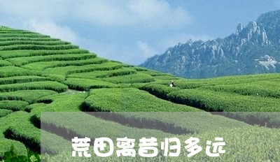 荒田离昔归多远/2023042967327