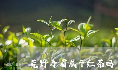 荒野寿眉属于红茶吗/2023092197138