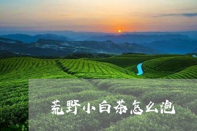 荒野小白茶怎么泡/2023071154837