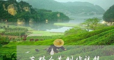 荒野白茶制作视频/2023071136049