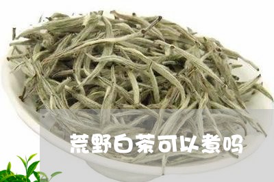 荒野白茶可以煮吗/2023071104830