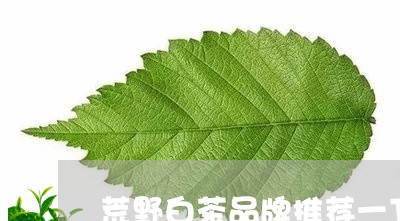 荒野白茶品牌推荐一下图片/2023111646302