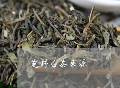 荒野白茶来源/2023052346253