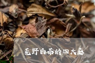 荒野白茶的四大忌/2023071135268