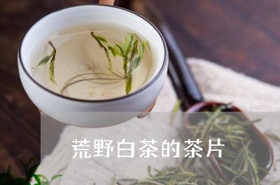 荒野白茶的茶片/2023060947240