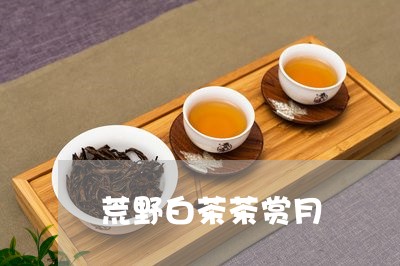 荒野白茶茶赏月/2023060982717