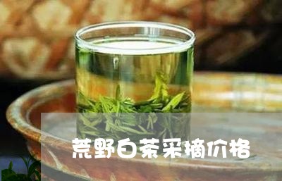 荒野白茶采摘价格/2023071100527