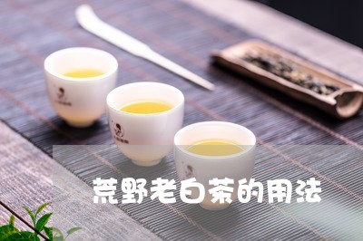 荒野老白茶的用法/2023071137262