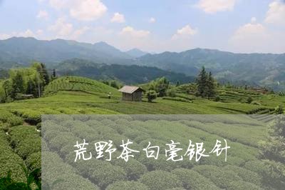 荒野茶白毫银针/2023112588159