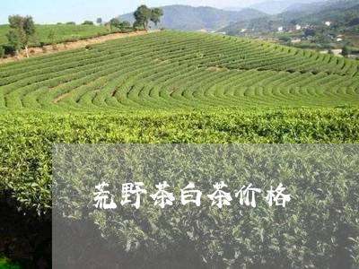 荒野茶白茶价格/2023061012815