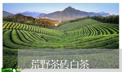 荒野茶砖白茶/2023052341726