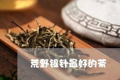 荒野银针最好的茶/2023090908269