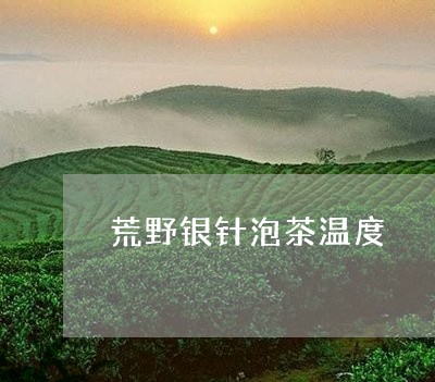 荒野银针泡茶温度/2023090881706