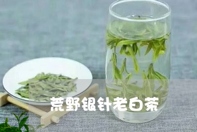 荒野银针老白茶/2023112593036