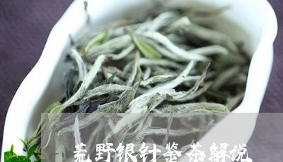 荒野银针鉴茶解说/2023090946271