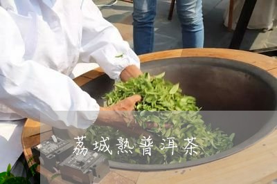 荔城熟普洱茶/2023042801420