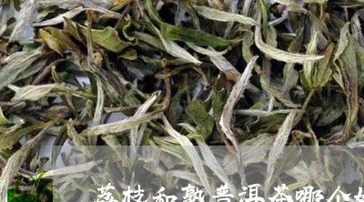 荔枝和熟普洱茶哪个好/2023110885857