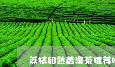 荔枝和熟普洱茶推荐哪种/2023082794047