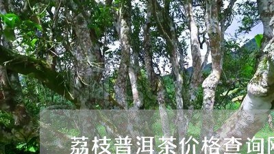 荔枝普洱茶价格查询网/2023082788372