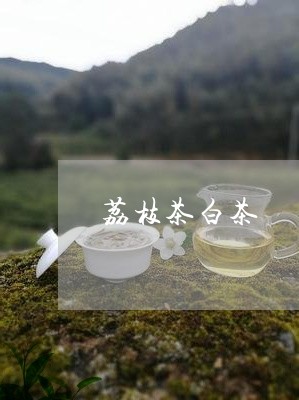 荔枝茶白茶/2023051185249