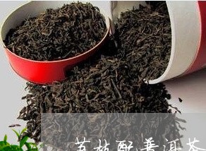 荔枝配普洱茶的功效与作用/2023121866182