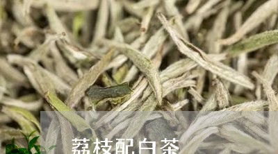 荔枝配白茶/2023051152947