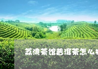 荔湾茶馆普洱茶怎么样好喝吗/2023052808573