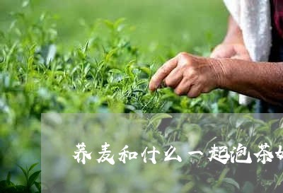 荞麦和什么一起泡茶好/2023060826481