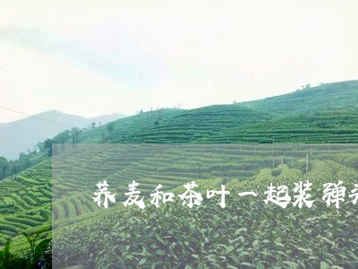 荞麦和茶叶一起装弹头/2023061163636