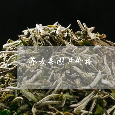 荞麦茶图片价格/2023050139348