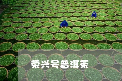 荣兴号普洱茶/2023042569103