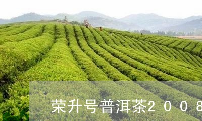 荣升号普洱茶2008品质怎么样/2023121817158