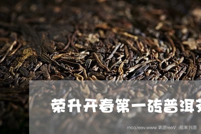 荣升开春第一砖普洱茶/2023061830584