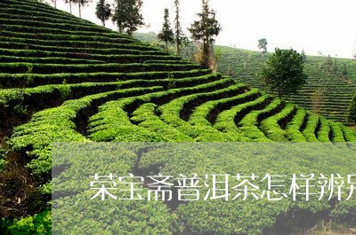 荣宝斋普洱茶怎样辨别真假/2023110831592