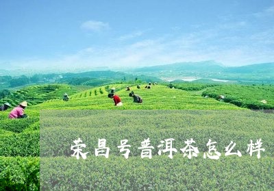 荣昌号普洱茶怎么样/2023071003938