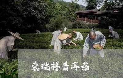 荣瑞祥普洱茶/2023042994873