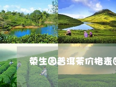 荣生园普洱茶价格表图/2023080726572