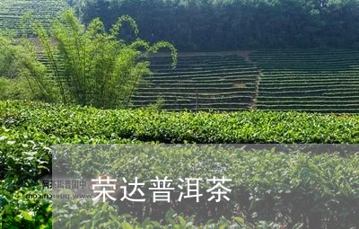 荣达普洱茶/2023090614036