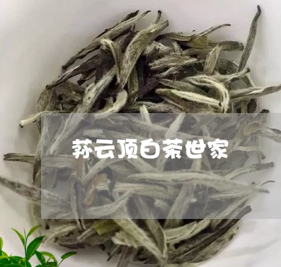 荪云顶白茶世家/2023060937482