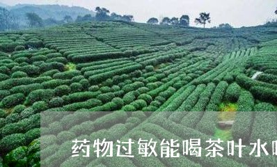 药物过敏能喝茶叶水吗/2023092396349