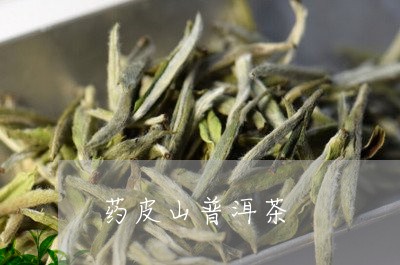 药皮山普洱茶/2023042650056