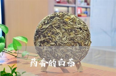 药香的白茶/2023051161937