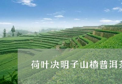 荷叶决明子山楂普洱茶/2023100658172