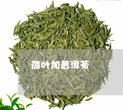 荷叶加普洱茶/2023042714918