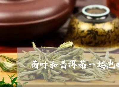 荷叶和普洱茶一起泡吗/2023092635159